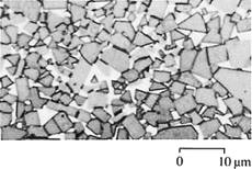 Figure 44 Microstructure of a WC/Co hard metal tool