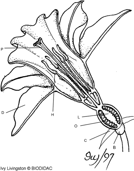 biology study guide