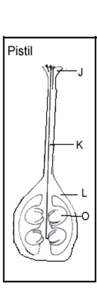 biology study guide