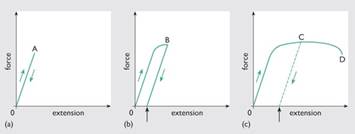 Figure 28(b)- The effect of progressively straining a material