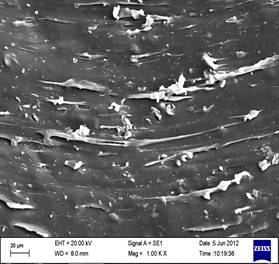 elastomers
