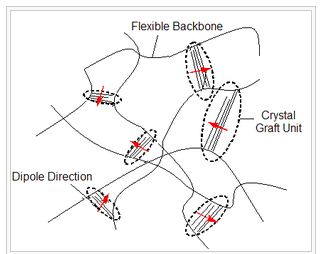 Electroactive polymers