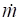 hydrostatic