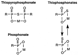Lubricant Properties