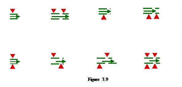 Casella di testo:    Figure 3.9