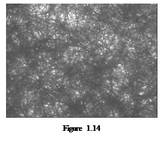 Casella di testo:    Figure 1.14