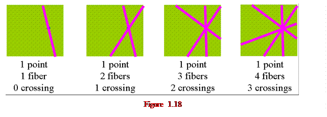 Casella di testo:    Figure 1.18