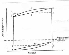 positive displacement pumps