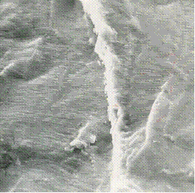 stress corrosion cracking scc