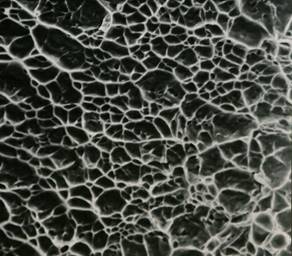 stress corrosion cracking scc