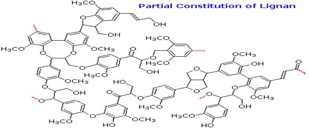 polymers