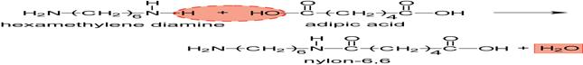 polymers