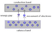 polymers