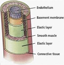 biology