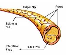 biology